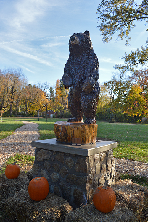 Our Windy Hills Bear