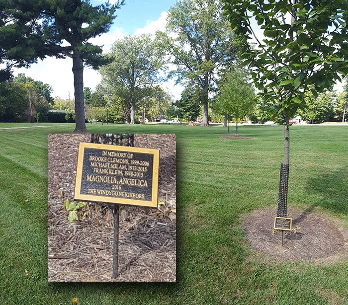 Trees and plaques: In Memory